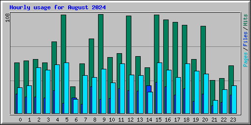 Hourly usage for August 2024