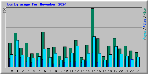 Hourly usage for November 2024