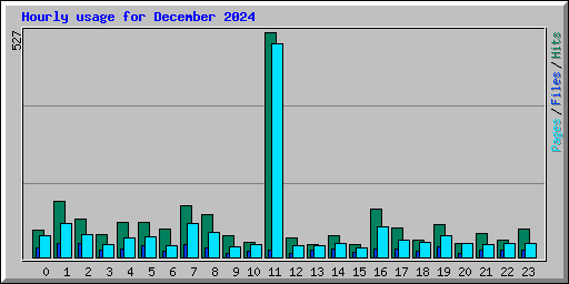 Hourly usage for December 2024