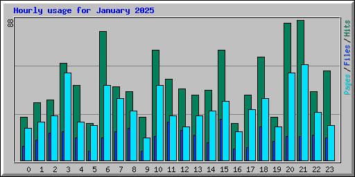 Hourly usage for January 2025